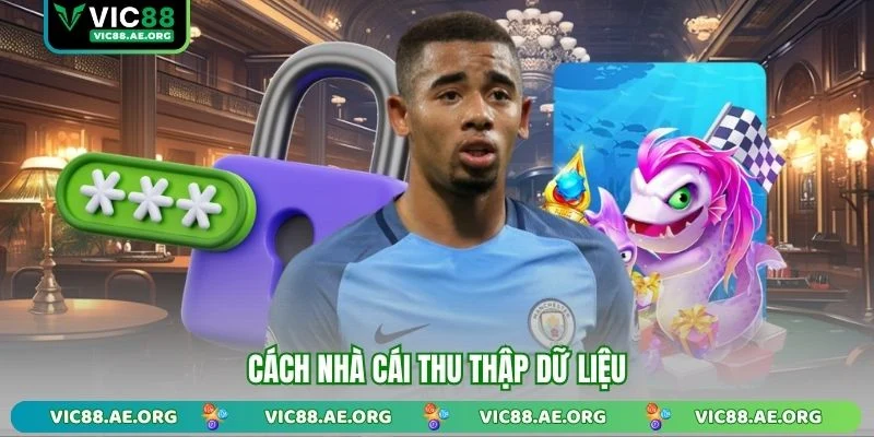 Cách nhà cái thu thập dữ liệu